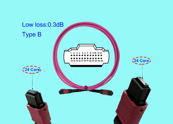 100G 24 MTP MPO 광섬유 케이블 패치 코드 3M OM4 24 핵심 자홍색 B형 행동 양식 USCONEC